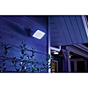 Philips Hue LED-Strahler White & Color Ambiance Discover (15 W, Schwarz, L x B x H: 22 x 16 x 15,3 cm)