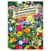 Sperli Blumensamen Balkon Blütenzauber (Verschiedene Sorten, Mehrfarbig, 2 m²) | BAUHAUS