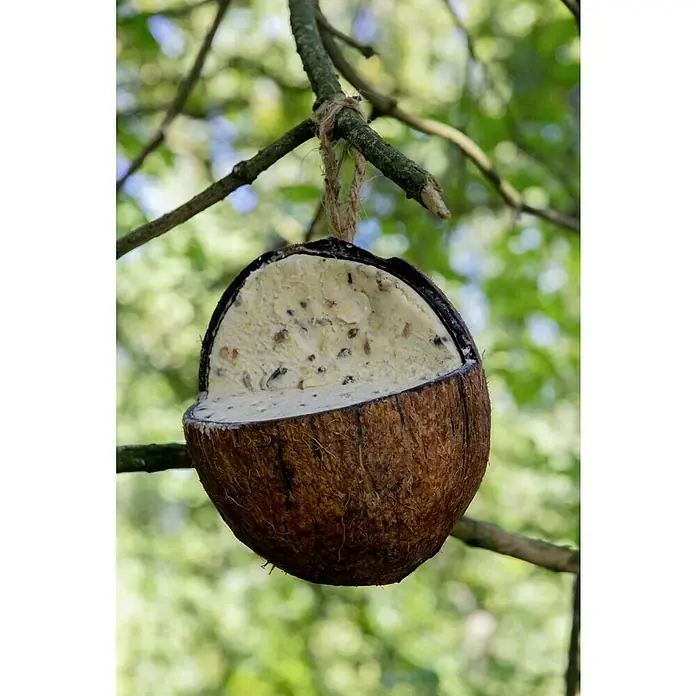 Dobar Wildvogelfutter Mix - 6 Stk. - Ein halbes Kokosnuss-Vogelhäuschen hängt an einem Baum, gefüllt mit Samen und Futter, um Wildvögel in den Garten zu locken.