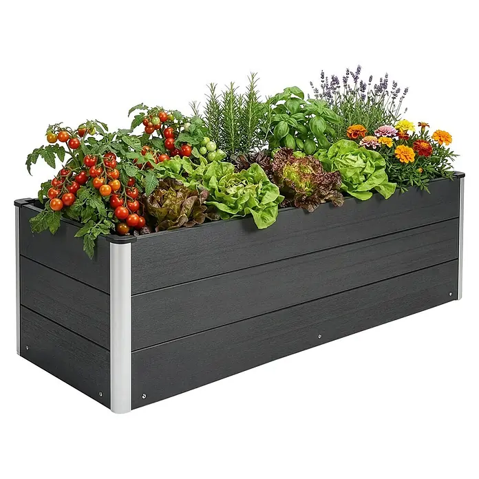 Floordirekt Hochbeet Paros - 150 x 50 x 45 cm, WPC, Anthrazit - Dunkelgraues Hochbeet mit silbernen Eckprofilen, bepflanzt mit Kirschtomaten, Salaten, Kräutern und Blumen.