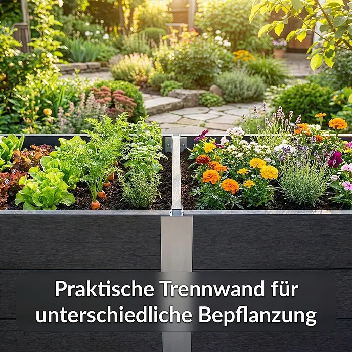 Floordirekt Hochbeet Paros - 200 x 50 x 45 cm, WPC, Anthrazit - Dunkelgraues Hochbeet mit silberner Trennwand, die Gemüse von bunten Blumen trennt, in einem sonnigen Garten.