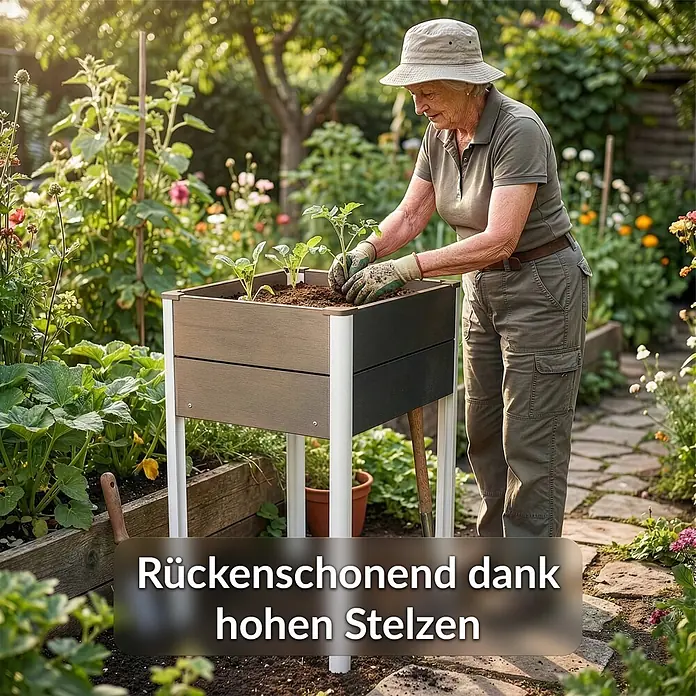 Floordirekt Hochbeet Salina - 60 x 50 x 90 cm, WPC, Anthrazit - Eine ältere Frau pflanzt in einem zweifarbigen (braun-dunkelgrauen) Hochbeet mit weißen Beinen, ideal für rückenfreundliches Gärtnern.