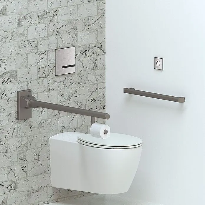 Delabie Betätigungsplatte Delabie WC-DrSp. TEMPOMATIC duale Strg. 3/4" UP Fernbetätigung 230/6V -  - Barrierefreies Bad mit weißem Wand-WC, dunkelmetallischem Klappgriff mit Papierhalter, festem Griff und Spülplatte.