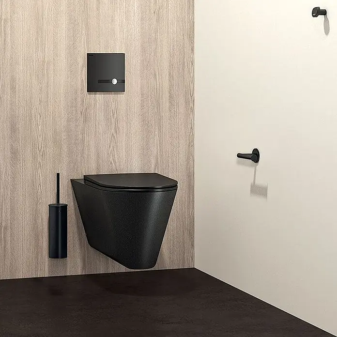 Delabie Betätigungsplatte Delabie WC-DrSp.T.MATIC duale Strg.UP mattschw.6V-Batt.Set2/2 - +464PBOX - Schwarzes wandhängendes WC mit passender Spülplatte, Toilettenbürste und Zubehör im modernen Bad.