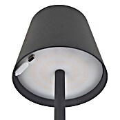 Globo Punjiva stolna svjetiljka Vannie  (Ø x V: 10,6 x 36 cm, Topla bijela, 3 W, IP44) | BAUHAUS