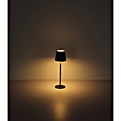Globo Punjiva stolna svjetiljka Vannie  (Ø x V: 10,6 x 36 cm, Topla bijela, 3 W, IP44) | BAUHAUS