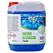 Ivero Sredstvo za zaštitu od algi Algacid  (1 l) | BAUHAUS