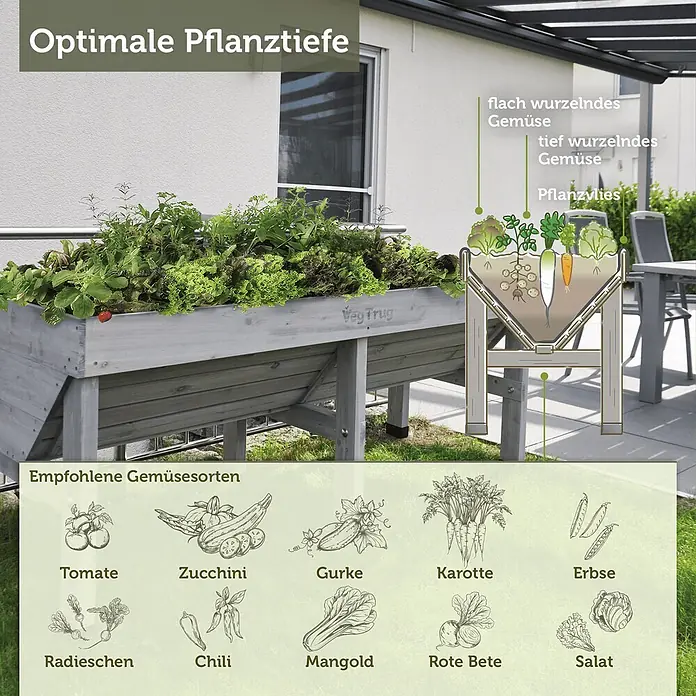 VegTrug Hochbeet Classic - Holz, Greywash - Graues Holz-Hochbeet (VegTrug) mit Pflanzen gefüllt, zeigt eine Illustration der Pflanztiefen und empfohlene Gemüsesorten wie Tomaten und Karotten.