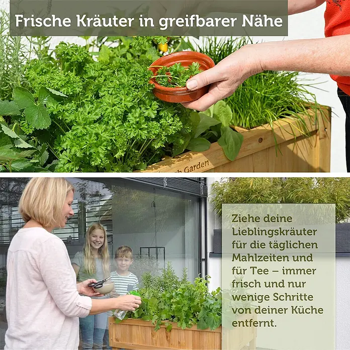 VegTrug Kräuterhochbeet - Material: Holz - Ein erhöhtes Holzbeet, gefüllt mit frischen Kräutern, die leicht zugänglich für die Ernte sind.