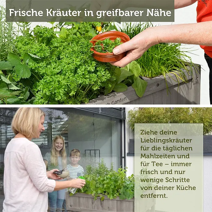 VegTrug Kräuterhochbeet - Material: Holz - Hölzernes Hochbeet mit frischen Kräutern, leicht von der Küche aus für Kochen und Tee zugänglich.