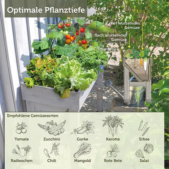VegTrug Hochbeet WallHugger - 103 x 76 x 80 cm, Holz, Greywash - Graues Hochbeet aus Holz, gefüllt mit Pflanzen, mit Diagramm zur optimalen Pflanztiefe und empfohlenen Gemüsesorten.