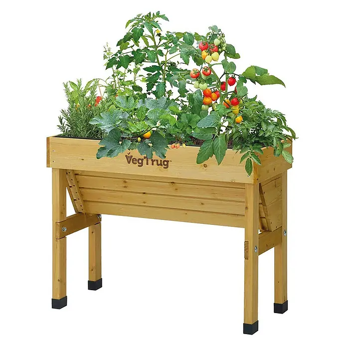 VegTrug Hochbeet Wall Hugger - Holz, Natur - Hölzernes Hochbeet, Marke 'VegTrug', mit wachsenden Tomaten, Kräutern und Kürbis.
