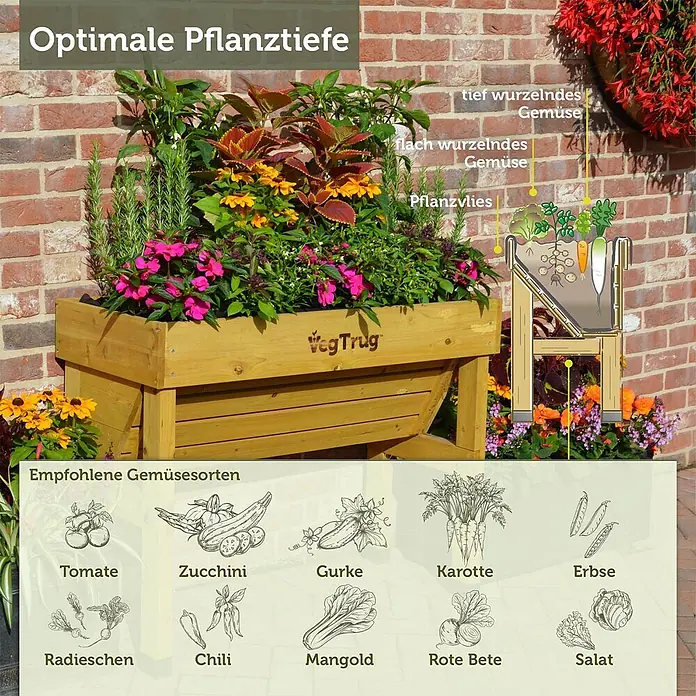 VegTrug Hochbeet Wall Hugger - Holz, Natur - Hölzernes VegTrug Hochbeet mit Pflanzen, das Pflanztiefen-Diagramm für Gemüse und empfohlene Sorten zeigt.