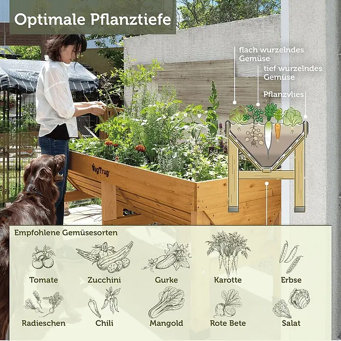 VegTrug Hochbeet Classic - Holz, Natur - Eine Frau und ihr Hund gärtnern in einem hölzernen VegTrug Hochbeet. Eine Illustration zeigt optimale Pflanztiefen und empfohlene Gemüsesorten.