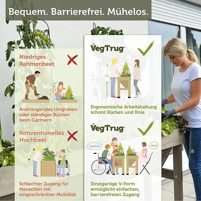 VegTrug Hochbeet WallHugger - 183 x 76 x 80 cm, Holz, Greywash - Frau erntet Salat aus einem hölzernen V-förmigen Hochbeet. Es bietet ergonomische Höhe und Rollstuhlzugang, im Gegensatz zu herkömmlichen Beeten.