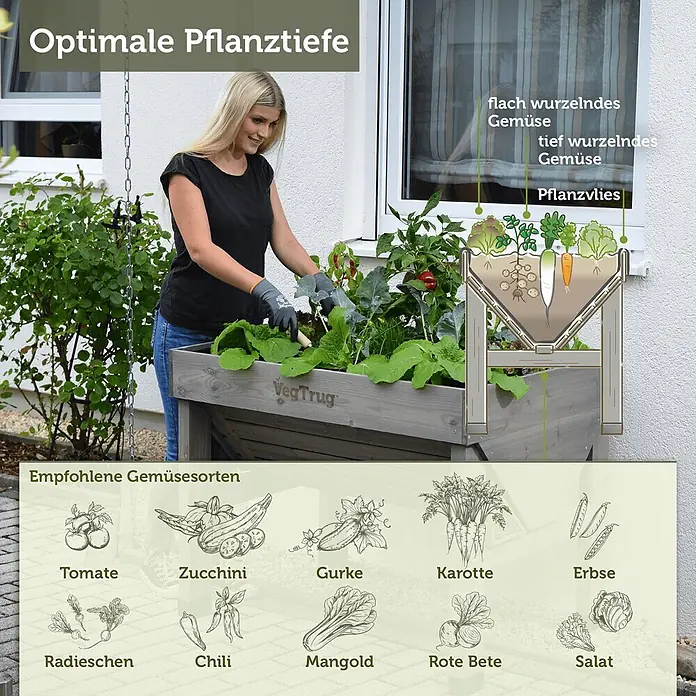 VegTrug Hochbeet Classic - Holz, Greywash - Frau gärtnert in einem grauen VegTrug Hochbeet; Infografik zeigt optimale Pflanztiefen und empfohlene Gemüsesorten.