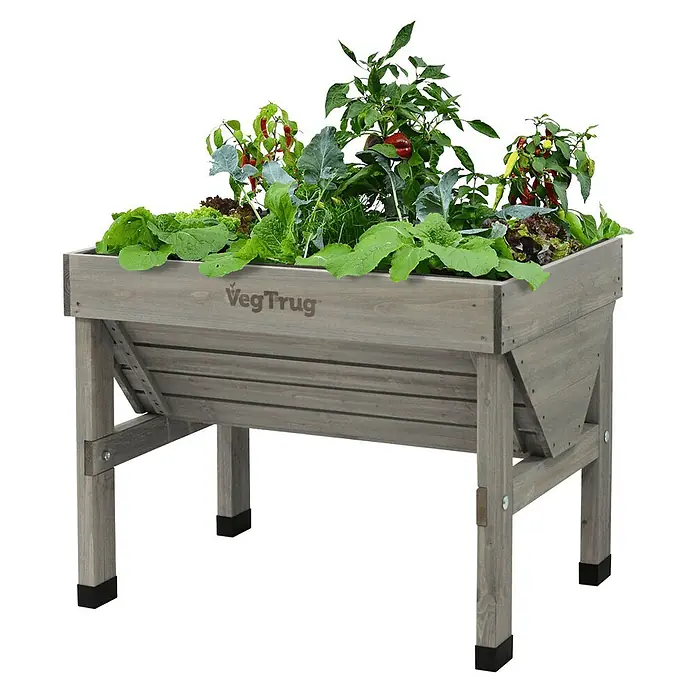 VegTrug Hochbeet Classic - Holz, Greywash - Grau-hölzernes VegTrug Hochbeet, gefüllt mit verschiedenen Blattgemüsen und Paprikapflanzen.