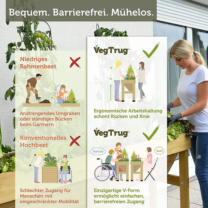 VegTrug Hochbeet Wall Hugger - Holz, Natur - Eine Frau erntet Salat aus einem hölzernen VegTrug Hochbeet. Sein ergonomisches und barrierefreies Design mit V-Form ermöglicht komfortables Gärtnern.