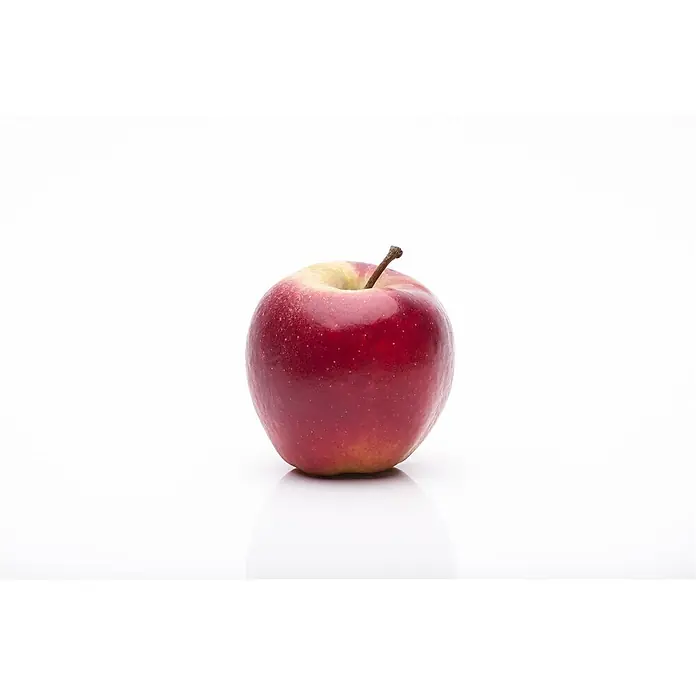 Pflanzen für dich Obstbaum 40 cm - Malus domestica 'Elstar' - Roter Apfel mit Stiel.