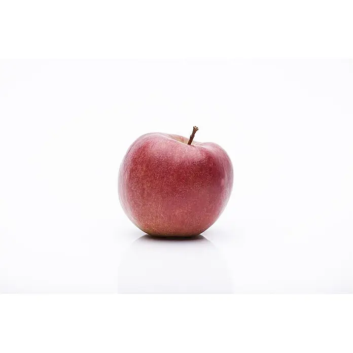 Pflanzen für dich Obstbaum 150-200 cm - Malus 'Braeburn' - Ein einzelner roter Apfel mit kurzem braunem Stiel.
