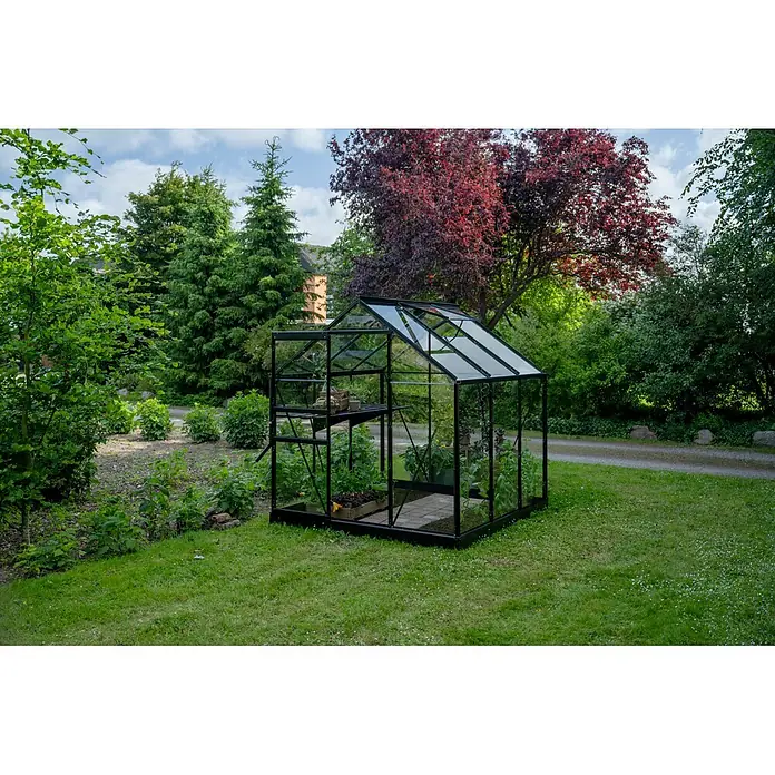 Halls Gewächshaus Popular 66 - Außenmaß inkl. Dachüberstand (B x T): 193 x 195 cm, Blankglas, 3 mm, Schwarz - Ein schwarzgerahmtes Glasgewächshaus mit Pflanzen und Gartengeräten, in einem üppigen Garten.