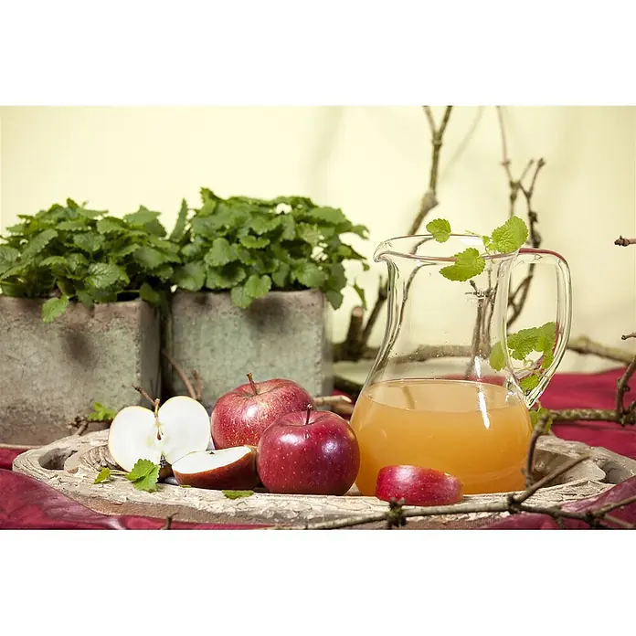 Pflanzen für dich Obstbaum 150-200 cm - Malus 'Braeburn' - Eine Glaskaraffe mit Apfelsaft, mit Minze garniert, steht auf einem rustikalen Holztablett mit roten Äpfeln.