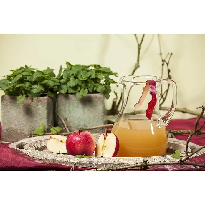 Pflanzen für dich Obstbaum 40 cm - Malus domestica 'Gala' - Frischer Apfelsaft in einer Glaskaraffe mit ganzen und geschnittenen roten Äpfeln auf Holztablett zwischen grünen Pflanzen.