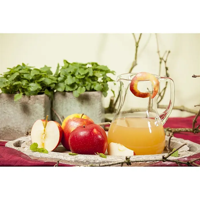 Pflanzen für dich Obstbaum 40 cm - Malus domestica - Frische rote und gelbe Äpfel, ganz und halbiert, neben einer Glaskaraffe mit Apfelsaft auf einem rustikalen Holztablett, mit Minze und Apfelschale garniert.