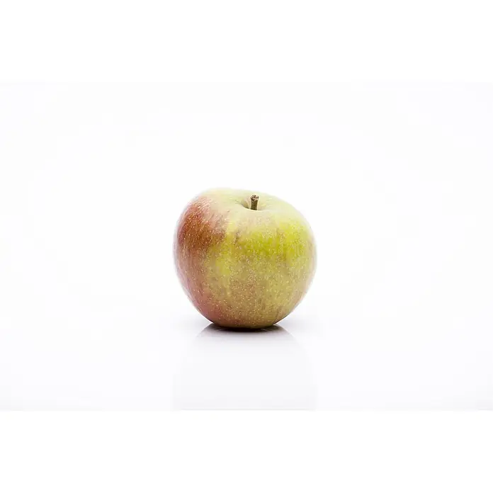 Pflanzen für dich Obstbaum 150-200cm - Malus domestica 'Cox Orange Renette' - Ein reifer Apfel, grün mit roten Flecken, und einem kleinen braunen Stiel.