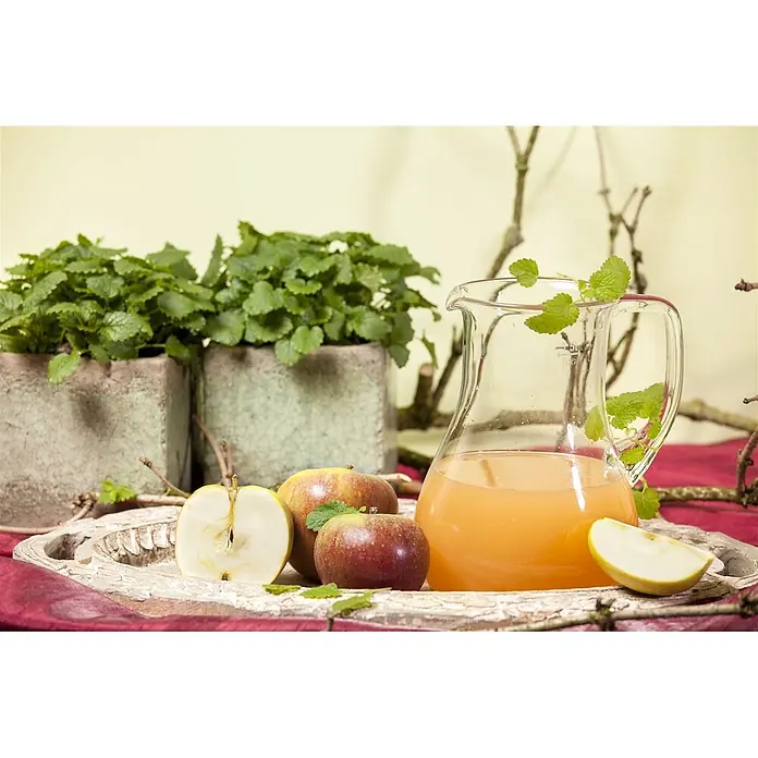 Pflanzen für dich Obstbaum 150-200cm - Malus domestica 'Cox Orange Renette' - Klarer Glaskrug mit Apfelsaft, mit Minze garniert, umgeben von frischen Äpfeln auf einem rustikalen Holztablett.