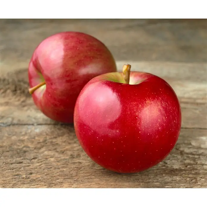 Pflanzen für dich Obstbaum 150-200cm - Malus 'Idared' - Zwei glänzende rote Äpfel mit Stielen liegen auf einer verwitterten Holzoberfläche.