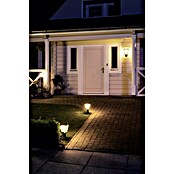 Philips Hue Led-sokkellamp (1 lampen, 15 W, Lichtkleur: Bont, IP44)