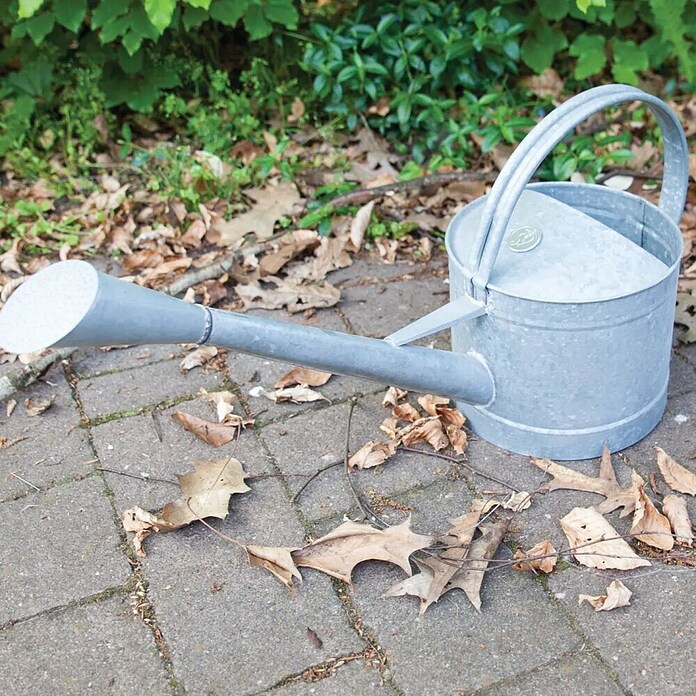 Esschert Design Zalivalka  (5 l, Cink) | 8481 - Zink/Blech/Metall | IAKA - Gefäße Indoor | IAK - Gefässe,Deko outdoor, Zeitschriften | IA - Gartenhartware | I - Stadtgarten | BAUHAUS