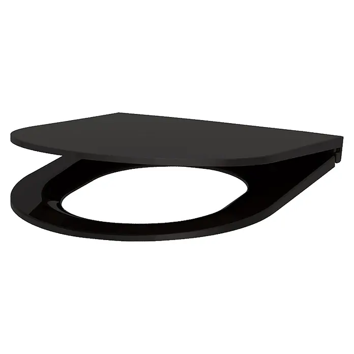 Delabie WC-Sitz Delabie WC-Sitz Slim S21 schwarz Duroplast mit Deckel mit Abs-Auto. - Schwarz Matt - Schwarzer Toilettensitz mit matter Abdeckung und glänzendem Sitzring.