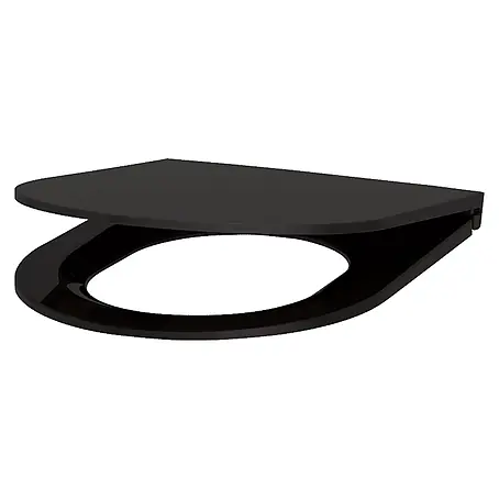 Delabie  WC-Sitz Delabie WC-Sitz Slim S21 schwarz Duroplast mit Deckel mit Abs-Auto.