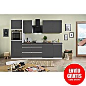 Respekta Premium Composición de cocina (Ancho: 280 cm, Con dispositivos eléctricos, Gris de alto brillo)