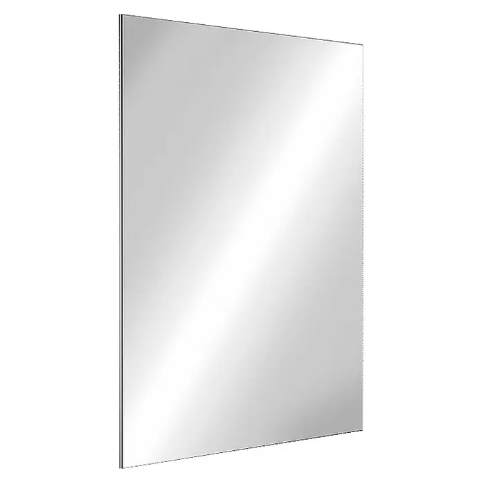 Delabie Wandspiegel - 50 x 3,4 cm - Rechteckiger, rahmenloser Spiegel mit klarer, reflektierender Oberfläche und diagonalem Lichtschein.