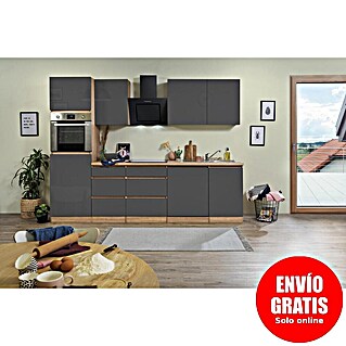 Respekta Premium Composición de cocina Lorena (Ancho: 280 cm, Gris, Brillo intenso, Decoración encimera: Efecto madera, Con electrodomésticos)