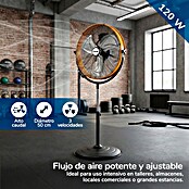HJM Ventilador de pie FES222 (120 W, Altura: 150 cm, Diámetro: 62 cm, Negro/Naranja) | BAUHAUS