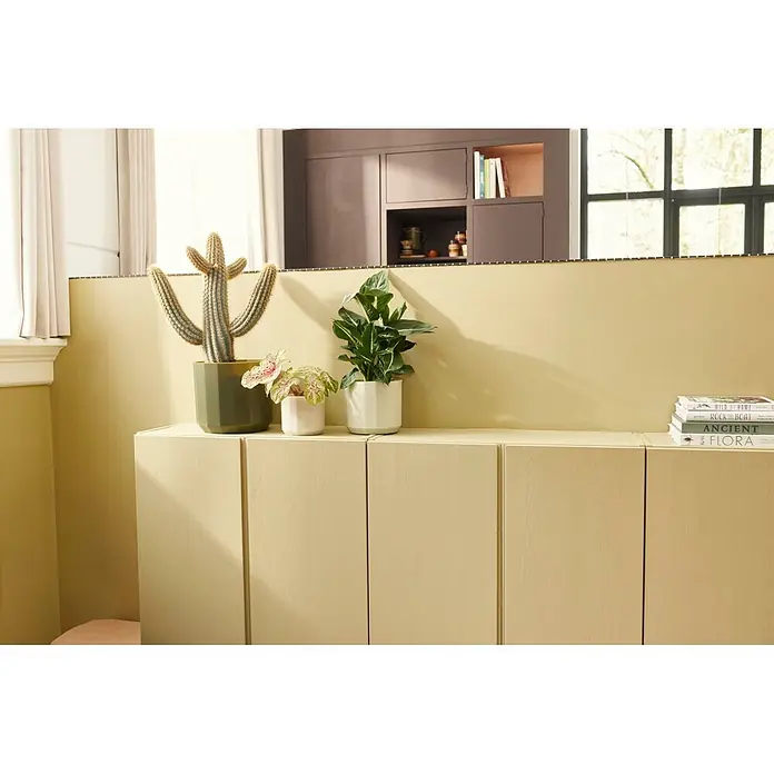 Elho Übertopf rund Facet - Mandelrosa, 2,8 l, Kunststoff - Helle beige Holzschränke, als Sideboard genutzt, mit Pflanzen und Büchern darauf.