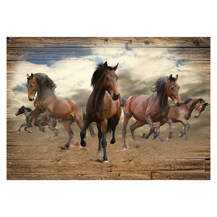 Fototapete Pferde (368 x 254 cm, Vlies)