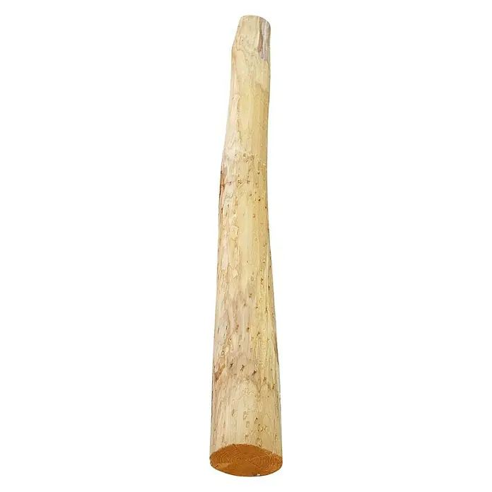 Viga decorativa - Natural, Ø x L: 8 x 250 cm, Madera - Primer plano de un tronco descortezado con vetas y textura de madera prominentes. Ideal para decoraciones rústicas o proyectos de artesanía.