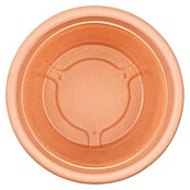 Siena Garden Pflanzgefäß NORAH (Ø x H: 35 x 26 cm, Terrakotta, Kunststoff) | BAUHAUS