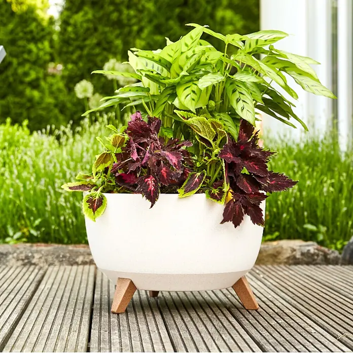 Siena Garden Pflanztopf OSLO PURE - Weiß, Kunststoff, Außenmaß (Ø x H): 47 x 26,5 cm - Weißer Pflanzkübel mit Holzfüßen, gefüllt mit bunten Pflanzen, auf einer Holzterrasse.