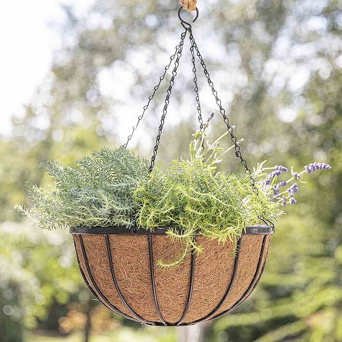 Siena Garden Blumenampel Wrought (Stahl, Schwarz, Natur) | BAUHAUS
