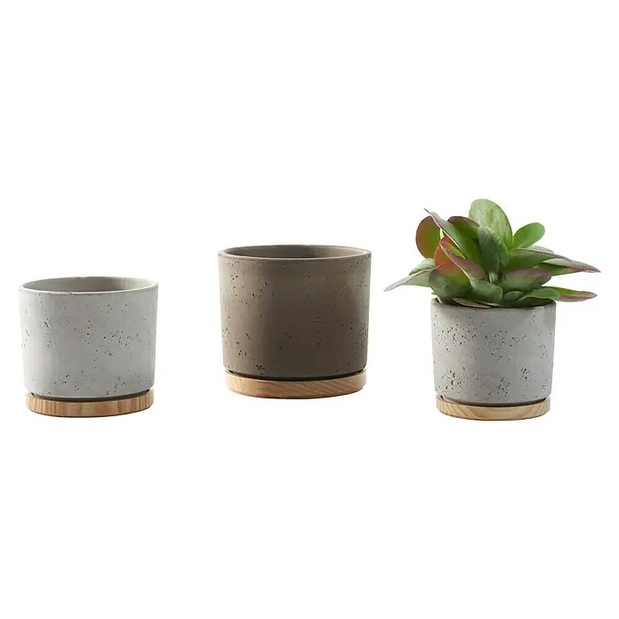 Soendgen Keramik Übertopf rund Paros Deluxe - Außenmaß (Ø x H): 23 x 20 cm, Sandgrau, Holz - Drei zylindrische Pflanzgefäße in Grau und Braun mit Holzuntersetzern, ideal für Zimmerpflanzen und Sukkulenten.