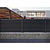 Set de valla de protección Ventia (L x Al: 160 x 150 cm, Antracita, 9 pzs.) | BAUHAUS