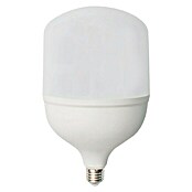 Garza Bombilla LED (40 W, E27, Blanco frío, No regulable, Pistón)