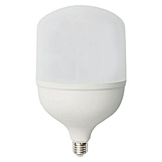 Garza Bombilla LED (E27, 30 W, Blanco frío, 3.000 lm)