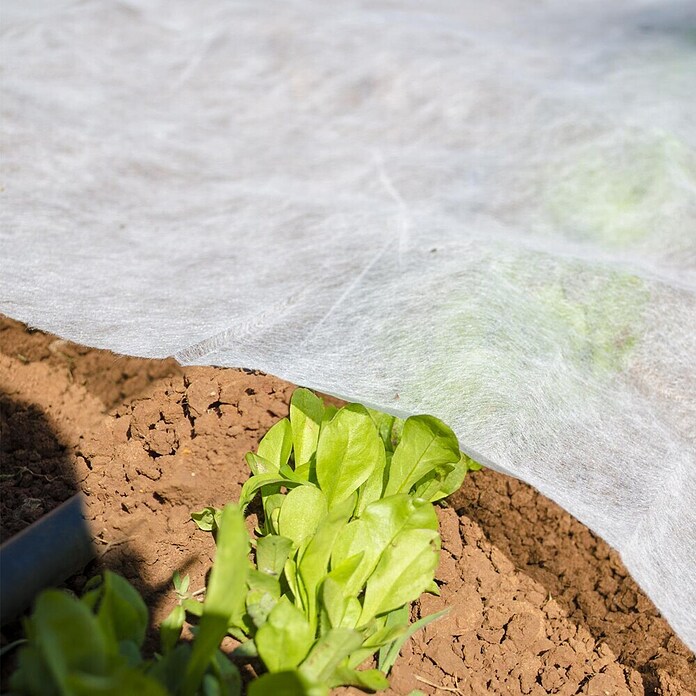 BR Garden Prezimitvena koprena  (10 x 1,6 m, 30 g/m²) | 7481 - Folien / Netze / Winterschutz | IAGG - Gartenartikel | IAG - Außenbereichsausstattung | IA - Gartenhartware | I - Stadtgarten | BAUHAUS